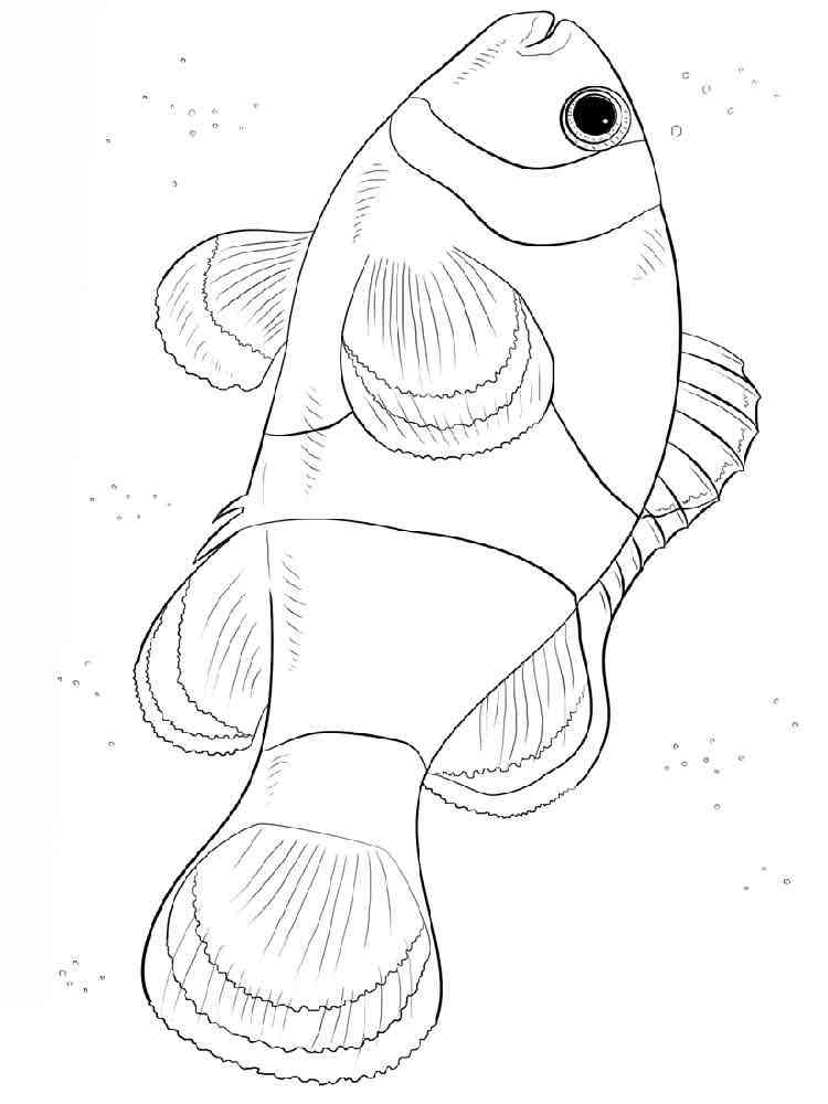 Clownfish coloring pages. Download and print Clownfish coloring pages.